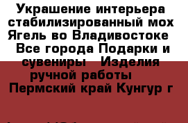 Украшение интерьера стабилизированный мох Ягель во Владивостоке - Все города Подарки и сувениры » Изделия ручной работы   . Пермский край,Кунгур г.